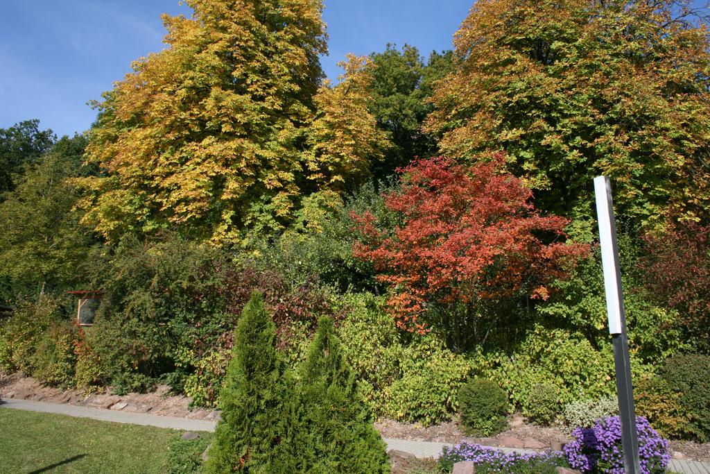 Seniorenresidenz Parkwohnstift Bad Kissingen Exteriör bild